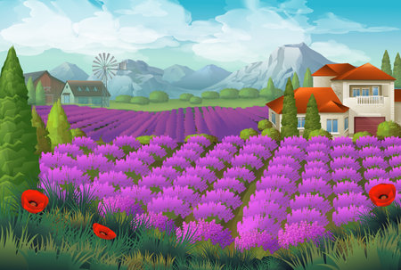 Lavender flowers field. Nature landscape, vector backgroundのイラスト素材