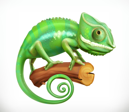 Chameleon. 3d vector iconのイラスト素材