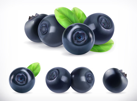 Blueberry. Sweet fruit. Forest berry. 3d vector icons set. Realistic illustrationのイラスト素材