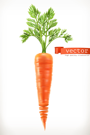 Carrot. Vegetable 3d vector iconのイラスト素材
