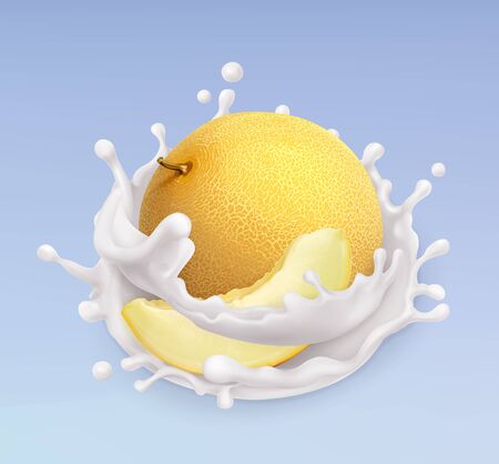 Melon and milk splash. Fruit and yogurt. Realistic illustration. 3d vector iconのイラスト素材