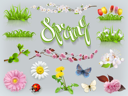 Spring set of grass and flowers. 3D vector iconのイラスト素材