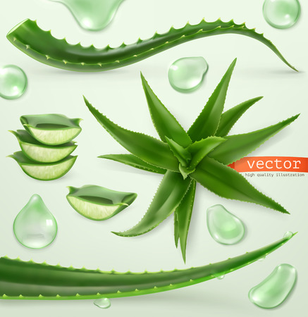 Aloe vera and drop. Medicinal plant. 3d vector icon setのイラスト素材