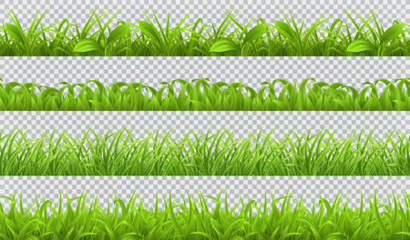 Spring green grass, seamless pattern. 3d realistic vector setのイラスト素材