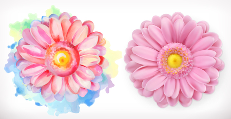 Spring pink flowers, Daisy, watercolor and 3d realismのイラスト素材