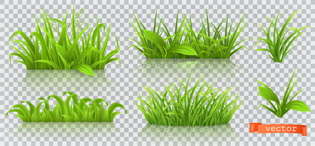 Spring, green grass. 3d realistic vector icon setのイラスト素材