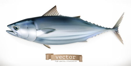 Tuna fish. 3d vector icon. Seafood, realism styleのイラスト素材