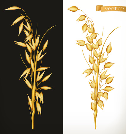 Oat. 3d realistic vector iconのイラスト素材