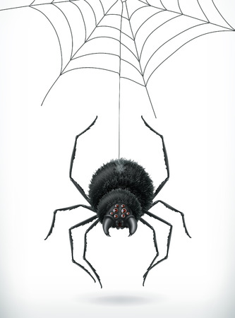 Spider. Happy Halloween, 3d vector iconのイラスト素材