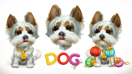 Dog, animal in the Chinese zodiac, Chinese calendar.のイラスト素材