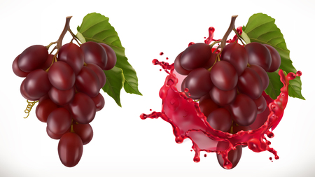Red wine splash and grapes. Fresh fruit, 3d vector iconのイラスト素材