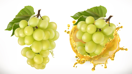 White sweet grapes and juice splash.のイラスト素材