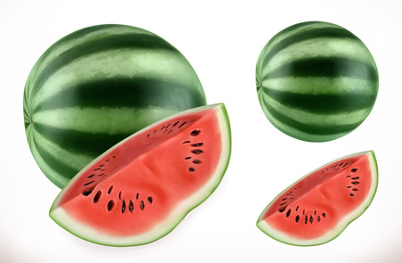 Watermelon. Fresh fruit 3d realistic vector iconのイラスト素材