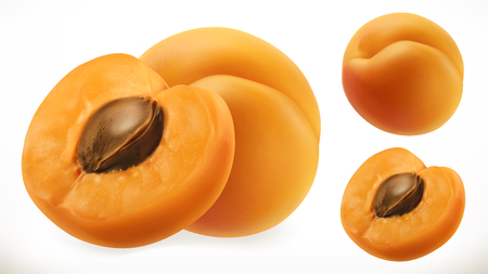 Apricot. Fresh fruit 3d realistic vector iconのイラスト素材