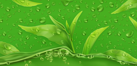 Drops. Green tea. 3d realistic vectorのイラスト素材