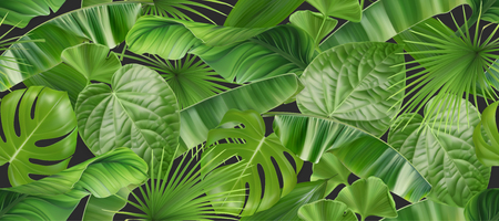 Jungle foliage seamless pattern, 3d vector realistic backgroundのイラスト素材