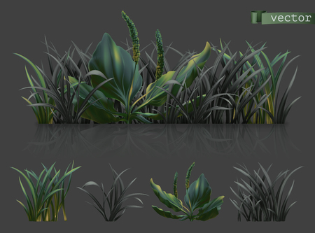 Spring. Dark green grass, 3d realistic vector icon setのイラスト素材