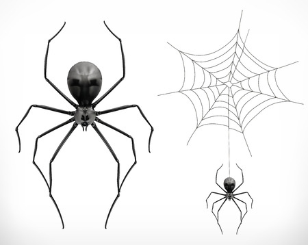 Realistic spider, halloween. 3d vector iconのイラスト素材