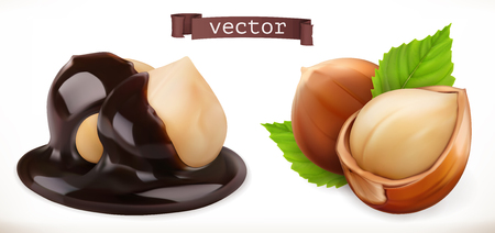 Hazelnut in chocolate. 3d realistic vector iconのイラスト素材
