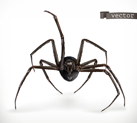 Realistic spider, Halloween 3d vector iconのイラスト素材