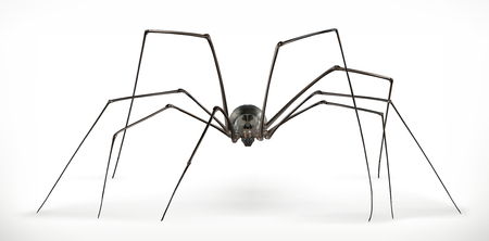 Realistic spider, halloween. 3d vector iconのイラスト素材