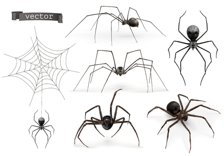 Realistic spider. Halloween 3d vector icon setのイラスト素材