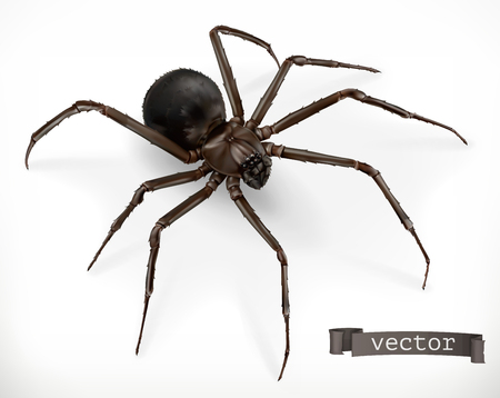 Realistic spider. Halloween 3d vector iconのイラスト素材