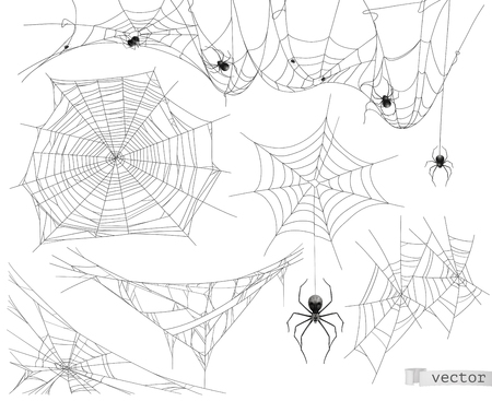 Spider web, vector set of elementsのイラスト素材