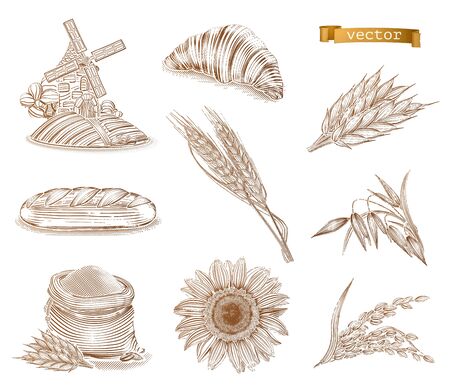 Mill, bread and wheat. Old style. Engraving vector icon setのイラスト素材