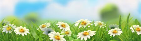 Spring landscape. Green grass and chamomile. 3d vector horizontal panoramaのイラスト素材