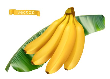 Banana on green leaf. Fresh fruit 3d realistic vector iconのイラスト素材
