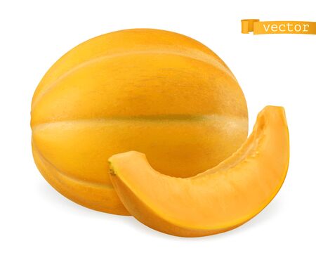Melon, 3d realistic vector iconのイラスト素材