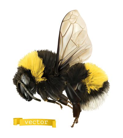 Bumblebee. 3d realistic vector iconのイラスト素材