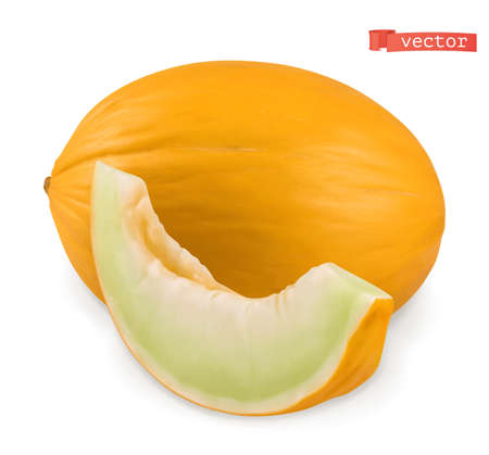 Melon. Fresh fruits. 3d realistic vectorのイラスト素材