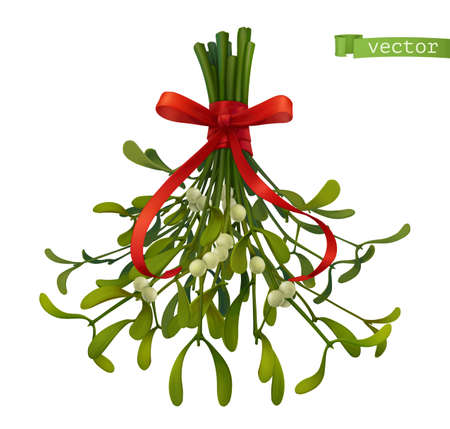 Kissing bough, christmas decoration. Mistletoe 3d realistic vector iconのイラスト素材