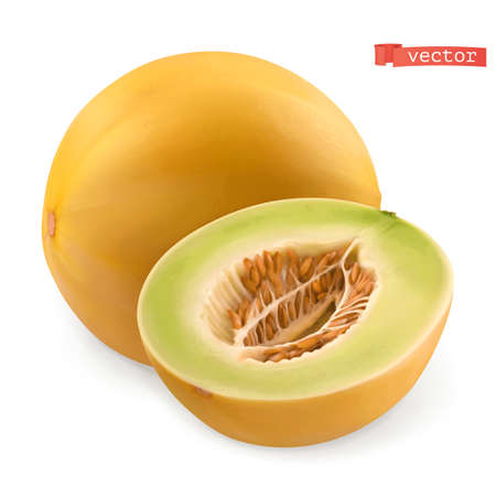 Melon. Fresh fruits. 3d realistic vectorのイラスト素材