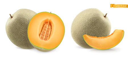 Sweet melon, cantaloupe. 3d realistic vector iconのイラスト素材
