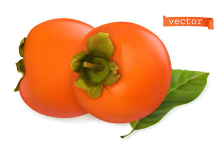 Persimmon fruits. 3d realistic vector iconのイラスト素材