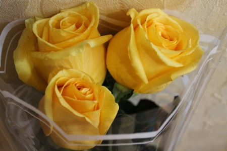 Beautiful flowersの写真素材