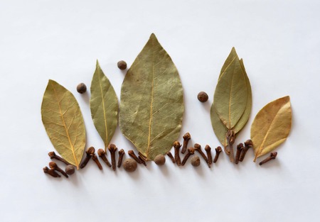 Bay leaf, cloves, pepper seasoning , aromaの写真素材