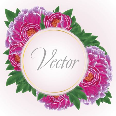 Greeting card with peonies bright purple flowersのイラスト素材