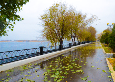 autumn, rain, river with trees in the puddles and fallen leaves near the lights and big riverの写真素材