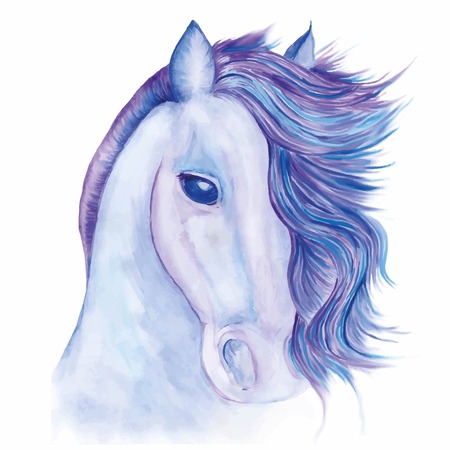 the head of a horse with developing mane painted with watercolors in shades of blueのイラスト素材