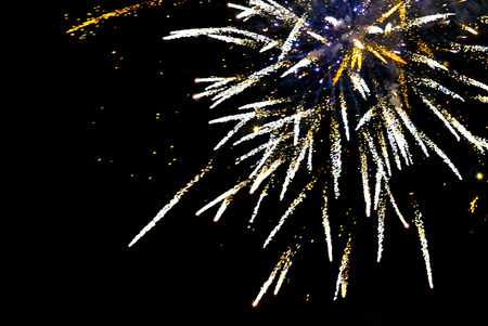 Fireworks explode in the sky on a black background