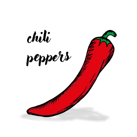 Doodle chili hand drawn black contour and colorのイラスト素材