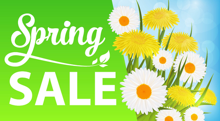 Horizontal picture spring sale with daisies and dandelions and grassのイラスト素材