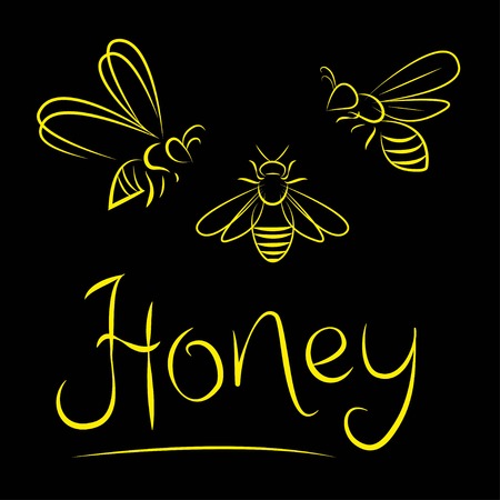 bee yellow on a black background and the words honeyのイラスト素材