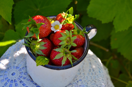 iron mug with ripe strawberries selective focusの写真素材