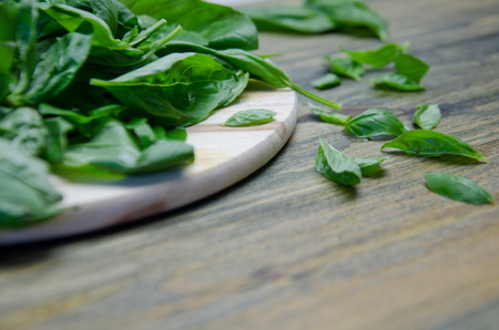 Basil leaves on a wooden table selective blurred focusの写真素材