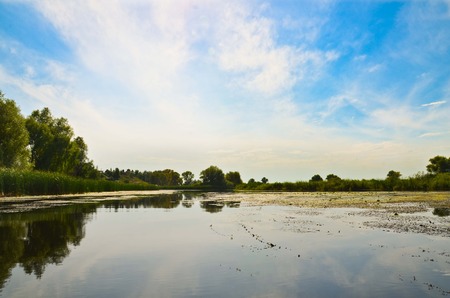 Landscape river and reeds blue sky selective focus